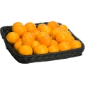 09eb55120d75e5525a1fc3ea606c3f8b