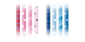 d7a6811c898f49df5c69051680d54b5a