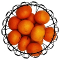 9ff3d873c0236aec02d82a45effea5ef