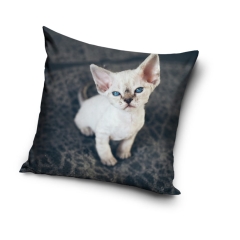Poszewka Mikrofibra 40x40 Kot Kotek Kotki
