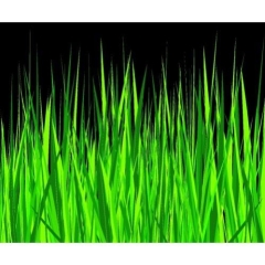 Panel Kuchenny Szkło Hartowane Trawa