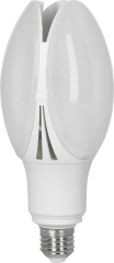 Żarówka Ogrodowa Olive Led E27 24 w 3600 lm
