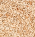 ce00979acca13f4e001f28c085cb7deb