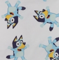 0a3c1c5d889cfe1c98f2919ba672a159