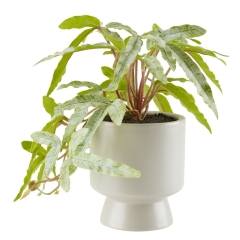 Sztuczna roslina z doniczką 9 x 20 cm paproć sztuczna zielone liście ozdoba