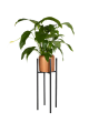 951812-removebg-preview.png