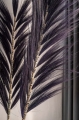 c832ca06db3dc5dd7dfdaa6cf54a69a4