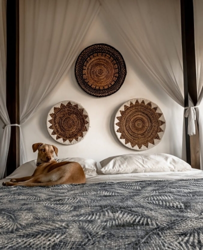 bc9f40594f982726bc50347bcb60a659