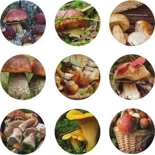 38db34f9e54bb2aa17d56b951ef0e6bb