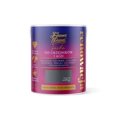 Hirsch Farba Forever Paints do grzejników i AGD antracyt 2L