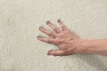 f40ea8c92b040c9f58e1368b7def2833