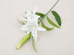 Lilia pojedyncza - 85 cm