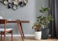 c4c25b3d862a2e9718fcd93eff0886e8