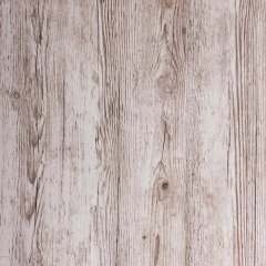 Okleina SOSNA AURELII 90 cm x 200 cm