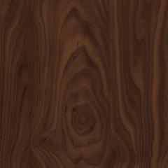 Okleina BRZOZA CZEKOLADOWA 67,5 cm x 200 cm