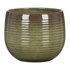 Osłonka Wild Jungle - śr. 18 cm