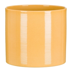 Osłonka zabajone - śr. 16 cm