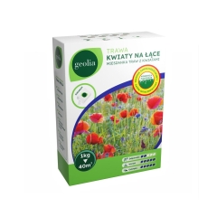 Nasiona trawy kwiaty na łące + mikoryza 1kg Geolia OUTLET