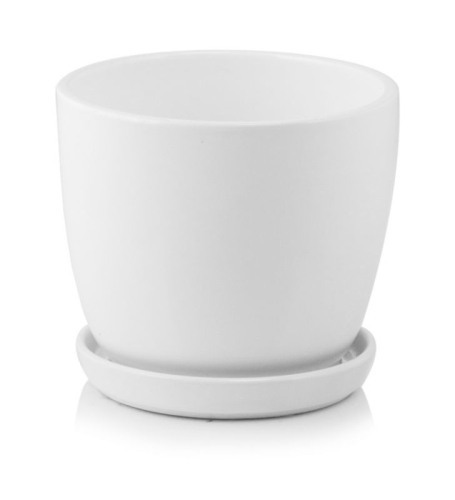7cd85539dcfcd68091ea6ff40ec0d749