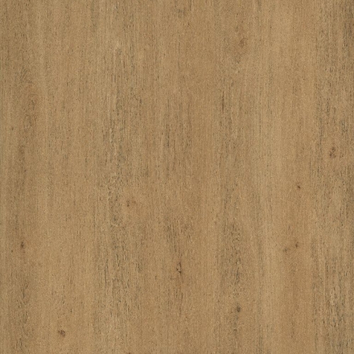 e718765d900ac1ee07726a13db2cb163