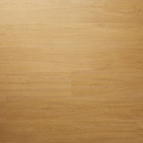 3432def56e3982efbc529c1804018bf8