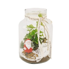 Cyprysik bluszcz mix 25 cm