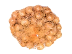 Cebula dymka Sturon 20/27 500g Geolia