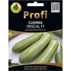 Cukinia Pascal nasiona 15szt. Pnos