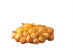 Cebula dymka Stutgart Riesen 250g Geolia