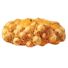 Cebula dymka Stutgart Riesen 500g Geolia