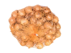 Cebula dymka Sturon 20/27 500g Geolia