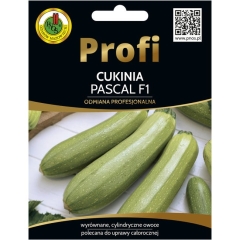Cukinia Pascal nasiona 15szt. Pnos