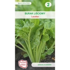 Burak liściowy Lucullus nasiona 5g W. Legutko