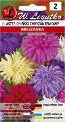 Aster chiński chryzantemowy mix nasiona tradycyjne W. Legutko