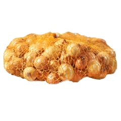 Cebula dymka Stutgart Riesen 500g Geolia