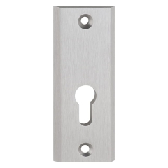 Szyld drzwiowy Metalbud Total Plus górny na wkładkę inox