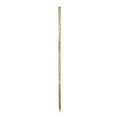 Palik Blooma 3 x 150 cm