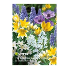 Cebule mix wiosenny Verve Naturalising 100 szt.
