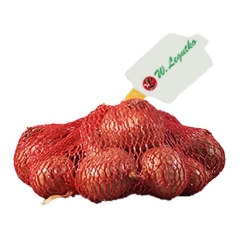 Cebula szalotka Red Sun 0,25 kg