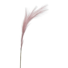Trawa pampasowa Jumi różowa 80 cm