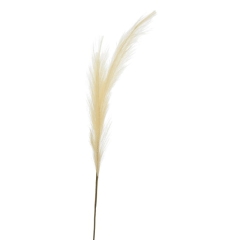 Trawa pampasowa Jumi kremowa 80 cm
