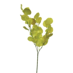 Gałązka Eukaliptusa Jumi 66 cm