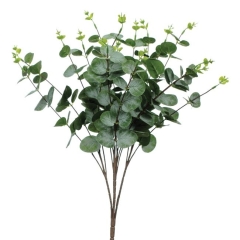 Bukiecik eukaliptusa Jumi ciemnozielony 50 cm