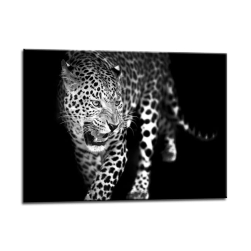 9d61f9a8cfd8d1496161ad4e6081945b