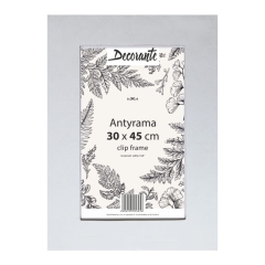 Antyrama szklana 30 x 45 cm