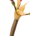008095c.jpg