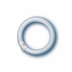 Osram Świetlówka kompaktowa kołowa Lumilux T9 C 22W