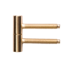 Zawias drzwiowy 14 mm x 52 mm złoty