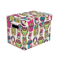 Global-Pak Pudło kartonowe One Sówki 34 cm x 25 cm x 26 cm