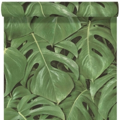 Tapeta MONSTERA winylowa na flizelinie zielona